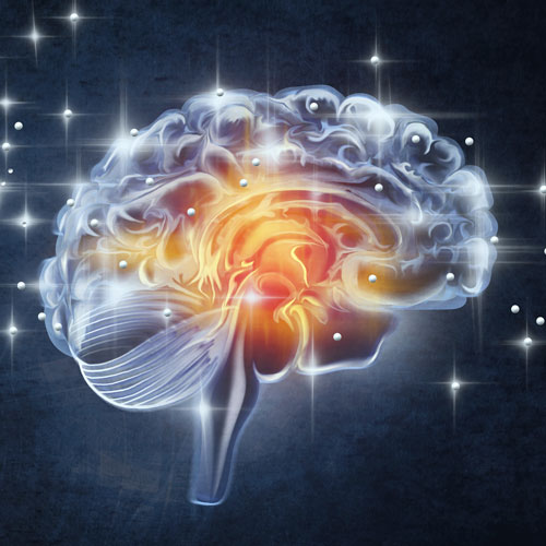 NEW MEDICINE i podstawy czytania CT (TK) (skanów mózgu)